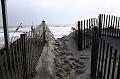 6309 Str IMG_0837